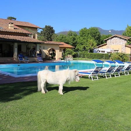 Podere San Paolo San Giuliano Terme Esterno foto