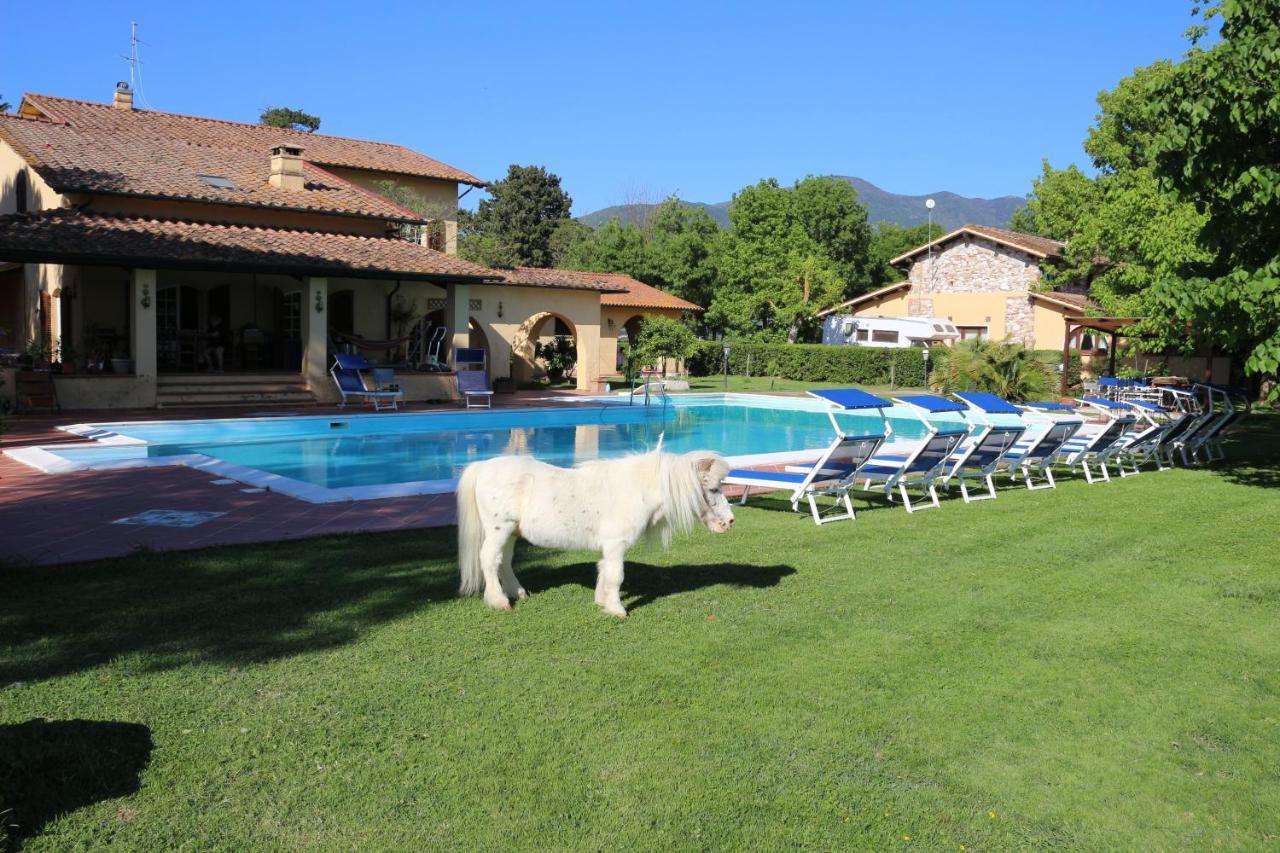 Podere San Paolo San Giuliano Terme Esterno foto