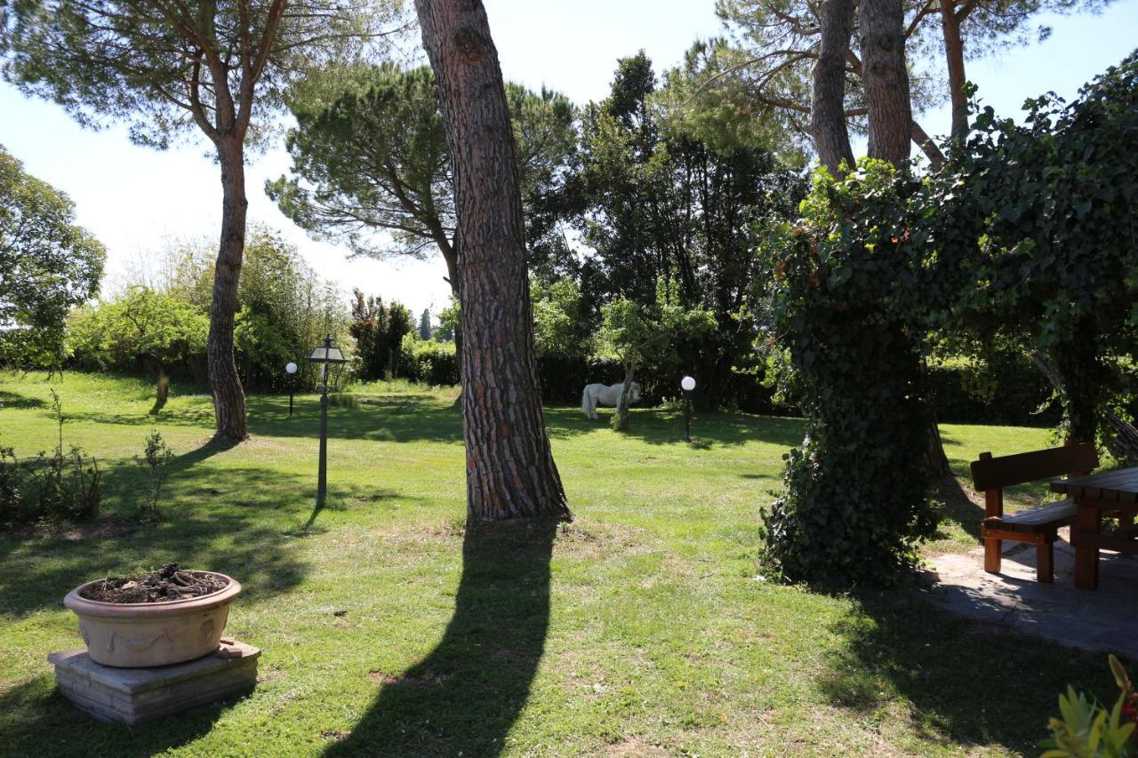 Podere San Paolo San Giuliano Terme Esterno foto